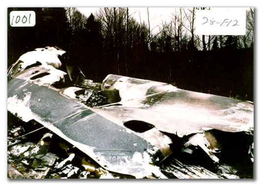 Figure DO4. Fire-damaged fuselage section